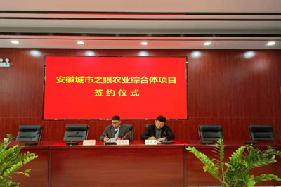 安成鎮(zhèn)參加安徽城市之眼農(nóng)業(yè)綜合體項(xiàng)目簽約儀式，攜手推動(dòng)新材料技術(shù)推廣服務(wù)賦能現(xiàn)代農(nóng)業(yè)
